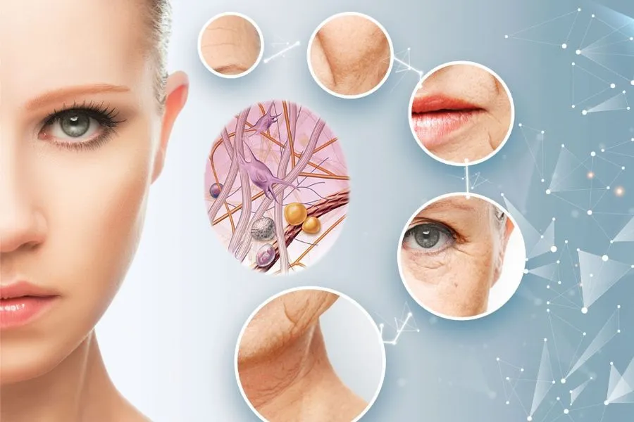 Công nghệ tái lập trình tế bào: Bước tiến mới trong cuộc đua chống lão hóa